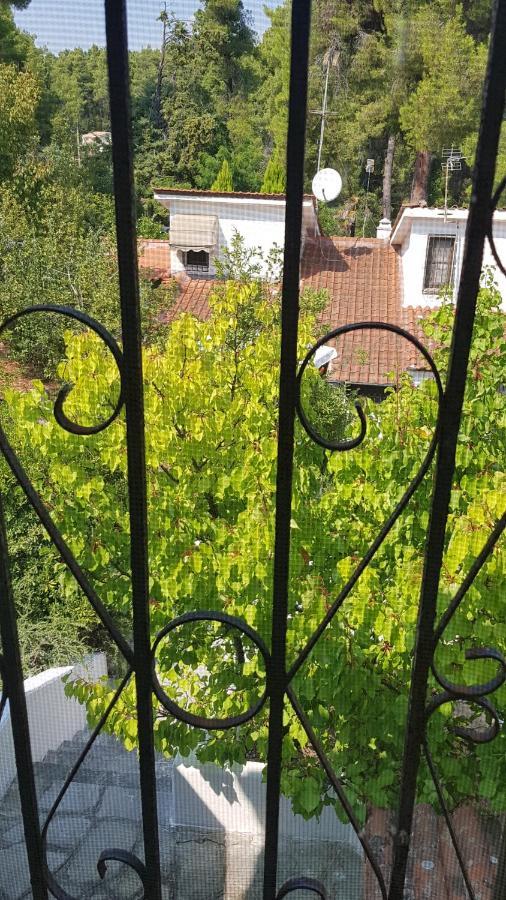 סאני ביץ' Konstantinos'S Luxury Residence Sani מראה חיצוני תמונה