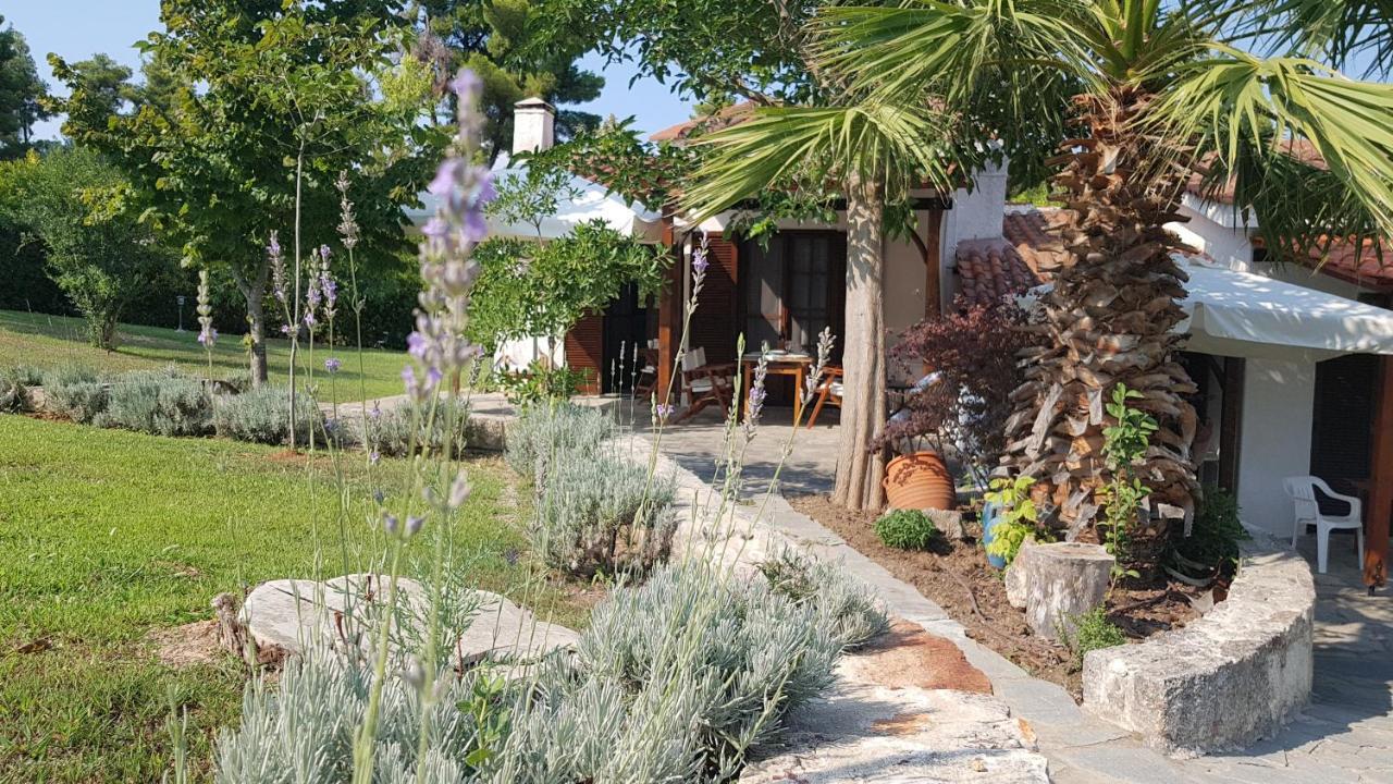 סאני ביץ' Konstantinos'S Luxury Residence Sani מראה חיצוני תמונה